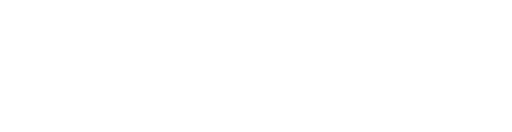 My Fitness Guides